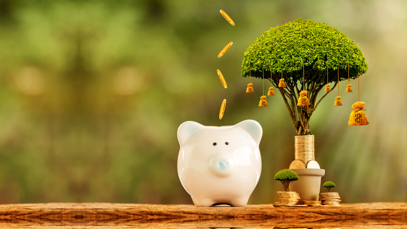 Understand the Infrastructure Bond IFB1/2022/18 Vasili Africa