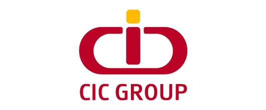 CIC-vasili-Africa-Partner